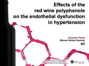 More info about Presentación Tesis Doctoral: Efectos de los polifenoles del vino tinto sobre la disfunción endotelial hipertensiva