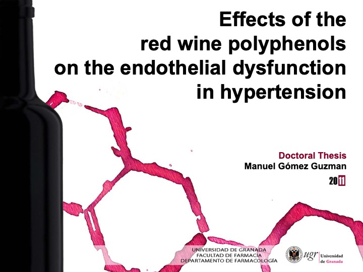 Imagen para el artefacto digital Presentación Tesis Doctoral: Efectos de los polifenoles del vino tinto sobre la disfunción endotelial hipertensiva